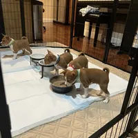 processed/6502d049-1193-45e3-805f-e8f64c619d3f/facility/95e93e8b-9c44-4f1c-a823-039a0e6021e8