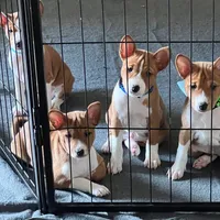 processed/6502d049-1193-45e3-805f-e8f64c619d3f/facility/da11ed16-fb11-453d-bddb-30bf1ae8eec7