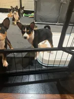 processed/6502d049-1193-45e3-805f-e8f64c619d3f/listing/27e965e4-ead9-4825-acb3-f736810fe876/12eb70c9-384f-4879-8251-1e60928d82df