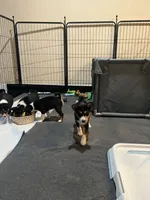 processed/6502d049-1193-45e3-805f-e8f64c619d3f/listing/27e965e4-ead9-4825-acb3-f736810fe876/881b4e77-5725-4bb7-b6f5-5c2a41978b24