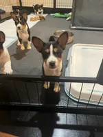 processed/6502d049-1193-45e3-805f-e8f64c619d3f/listing/27e965e4-ead9-4825-acb3-f736810fe876/c50c598e-e9da-477b-b885-c117bfb9922e