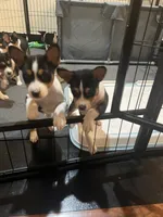 processed/6502d049-1193-45e3-805f-e8f64c619d3f/listing/69a2826e-5f59-4cdb-b576-300fb266a9db/69b4dd4f-5a3f-4e18-8405-ef38c2af8a85