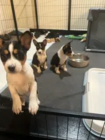 processed/6502d049-1193-45e3-805f-e8f64c619d3f/listing/69a2826e-5f59-4cdb-b576-300fb266a9db/8dbfd7cc-4937-4e39-bed3-6c8042642bff