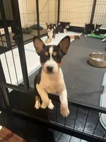 processed/6502d049-1193-45e3-805f-e8f64c619d3f/listing/69a2826e-5f59-4cdb-b576-300fb266a9db/ab2ddb90-022a-4547-aaab-d54b18f1eea8