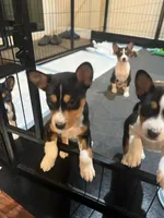 processed/6502d049-1193-45e3-805f-e8f64c619d3f/listing/d54002b0-0ed8-4d92-a312-5cf4183d0452/2dfb7cb7-8356-46b4-bd4f-c8b0348b38bb