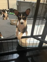 processed/6502d049-1193-45e3-805f-e8f64c619d3f/listing/d54002b0-0ed8-4d92-a312-5cf4183d0452/d02c67d3-0344-4de0-9b96-e282f325bf4e