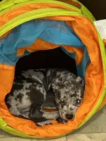 processed/6503699e-f597-4d2e-9f41-0eff4612d2b8/listing/ad85ccdb-11ba-432c-a868-6ba5a7816f05/0852ed1e-9b64-41d5-9e87-9ee37689bf8b