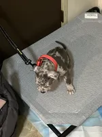 processed/6503699e-f597-4d2e-9f41-0eff4612d2b8/listing/ad85ccdb-11ba-432c-a868-6ba5a7816f05/b775fee2-afeb-4ed5-9a0b-2477c5c07e76