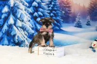 processed/650850b1-afc6-4858-a572-3bb0f110bc74/listing/1ebd0dcc-98cc-4e59-9ad4-3b51c839fa8f/045e2f41-db1b-4947-9af0-41396673b6f6