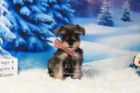 processed/650850b1-afc6-4858-a572-3bb0f110bc74/listing/1ebd0dcc-98cc-4e59-9ad4-3b51c839fa8f/087003f4-6655-458e-9207-79f77803d075