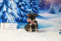 processed/650850b1-afc6-4858-a572-3bb0f110bc74/listing/1ebd0dcc-98cc-4e59-9ad4-3b51c839fa8f/3f21b01f-cbf7-453f-90e5-f7d891d9bd20