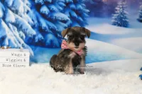 processed/650850b1-afc6-4858-a572-3bb0f110bc74/listing/1ebd0dcc-98cc-4e59-9ad4-3b51c839fa8f/63071e81-ced0-4ff6-bbde-85001930603a