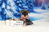 processed/650850b1-afc6-4858-a572-3bb0f110bc74/listing/1ebd0dcc-98cc-4e59-9ad4-3b51c839fa8f/b61091fe-685e-4db5-b32d-66a7fc79bda7