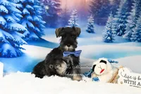 processed/650850b1-afc6-4858-a572-3bb0f110bc74/listing/5836fca0-0ff7-424f-8430-815c7a98d8b5/48136051-18a8-4950-8a2d-a5bb138cf587