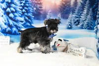 processed/650850b1-afc6-4858-a572-3bb0f110bc74/listing/5836fca0-0ff7-424f-8430-815c7a98d8b5/7426a8f8-46b1-466a-84e6-ea93189b236b