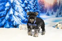 processed/650850b1-afc6-4858-a572-3bb0f110bc74/listing/5836fca0-0ff7-424f-8430-815c7a98d8b5/9782550a-061f-421c-945c-65dc553a54a0