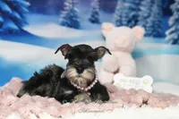 processed/650850b1-afc6-4858-a572-3bb0f110bc74/listing/5a08e13e-556b-4ac0-8e06-ac082aa01f8a/2a8b61ef-d6e8-426d-abab-9b97e75ac618