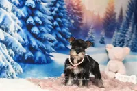 processed/650850b1-afc6-4858-a572-3bb0f110bc74/listing/5a08e13e-556b-4ac0-8e06-ac082aa01f8a/febfcb62-892b-4fb2-b1c4-2198774eab28