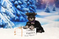 processed/650850b1-afc6-4858-a572-3bb0f110bc74/listing/dadb9325-8ffd-4612-bc51-c410b18d0a71/042590eb-7342-4b5a-93cb-2125c774b718