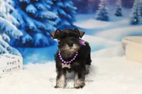 processed/650850b1-afc6-4858-a572-3bb0f110bc74/listing/dadb9325-8ffd-4612-bc51-c410b18d0a71/9494475f-2833-47e8-ada8-add7d8645262