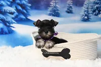 processed/650850b1-afc6-4858-a572-3bb0f110bc74/listing/dadb9325-8ffd-4612-bc51-c410b18d0a71/c3c48998-303f-4500-954a-261bd5e4ea6a