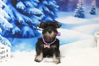 processed/650850b1-afc6-4858-a572-3bb0f110bc74/listing/dadb9325-8ffd-4612-bc51-c410b18d0a71/f3e628ae-c5a7-4813-bda8-3eeb35b2769d