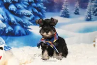 processed/650850b1-afc6-4858-a572-3bb0f110bc74/listing/f73ad7d1-d480-404b-b64e-b4c608a83671/16865684-42ce-46b1-b60d-93cb0b90042d