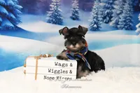 processed/650850b1-afc6-4858-a572-3bb0f110bc74/listing/f73ad7d1-d480-404b-b64e-b4c608a83671/8adfc187-ba96-4eae-8829-8d232937ea3b