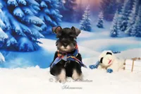 processed/650850b1-afc6-4858-a572-3bb0f110bc74/listing/f73ad7d1-d480-404b-b64e-b4c608a83671/92c2d2e3-6c6e-4db1-a7ea-49bd62dc51df