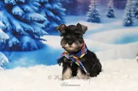 processed/650850b1-afc6-4858-a572-3bb0f110bc74/listing/f73ad7d1-d480-404b-b64e-b4c608a83671/a9f100d2-1c0f-4e66-b5ce-71f294a2c57e