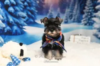 processed/650850b1-afc6-4858-a572-3bb0f110bc74/listing/f73ad7d1-d480-404b-b64e-b4c608a83671/dae28e3b-c6bb-4164-8d36-9a8a17f239b3