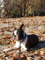 processed/650befbf-ac8b-493e-938b-7181b7c44d8a/listing/91036114-acd8-4038-a38b-623c1be6aaa9/1e29f896-53cc-4f1a-a239-9ce12203703f