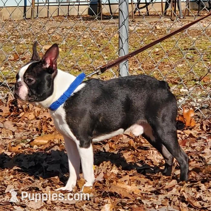 processed/650befbf-ac8b-493e-938b-7181b7c44d8a/listing/91036114-acd8-4038-a38b-623c1be6aaa9/8fd36d20-1001-4ae1-a6c2-a168de8875dd