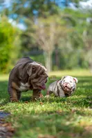 processed/650ce8a0-a9b4-4641-9f79-0cd539f90854/listing/48534c5e-01b5-4220-94a4-c876b4937a71/4c6cfca5-69d6-46cd-9084-ef416600e8f0