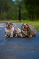 processed/650ce8a0-a9b4-4641-9f79-0cd539f90854/listing/48534c5e-01b5-4220-94a4-c876b4937a71/4ed1197a-9f2d-4b9d-94b0-8df79e01bd27