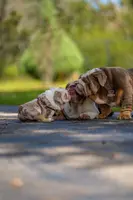 processed/650ce8a0-a9b4-4641-9f79-0cd539f90854/listing/48534c5e-01b5-4220-94a4-c876b4937a71/69616d91-6d90-470b-bbab-2ba0293e7d78