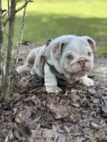 processed/650ce8a0-a9b4-4641-9f79-0cd539f90854/listing/48534c5e-01b5-4220-94a4-c876b4937a71/6c1e13ce-c1b5-4b65-bcf6-83a864051818