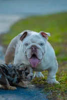 processed/650ce8a0-a9b4-4641-9f79-0cd539f90854/listing/48534c5e-01b5-4220-94a4-c876b4937a71/ccdb23da-2888-47ab-ad6a-21f1c576fea5