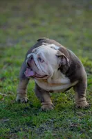 processed/650ce8a0-a9b4-4641-9f79-0cd539f90854/listing/d67e237b-a6d2-4200-afb5-7abc2eea9b18/17a2d20b-3ccb-4025-a46a-8a9c11c3a5b4