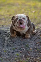 processed/650ce8a0-a9b4-4641-9f79-0cd539f90854/listing/d67e237b-a6d2-4200-afb5-7abc2eea9b18/4a257389-3806-4435-84c3-8f6ae3b0a77e