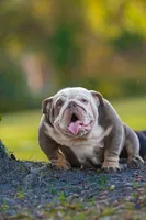 processed/650ce8a0-a9b4-4641-9f79-0cd539f90854/listing/d67e237b-a6d2-4200-afb5-7abc2eea9b18/6780c335-339d-45e1-be48-e68b73a38ead