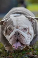 processed/650ce8a0-a9b4-4641-9f79-0cd539f90854/listing/d67e237b-a6d2-4200-afb5-7abc2eea9b18/6e8e80f9-186c-4df7-8299-41ddf9825ff1