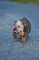 processed/650ce8a0-a9b4-4641-9f79-0cd539f90854/listing/d67e237b-a6d2-4200-afb5-7abc2eea9b18/74fc6637-6966-4fef-8e23-332a5602233c