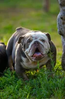 processed/650ce8a0-a9b4-4641-9f79-0cd539f90854/listing/d67e237b-a6d2-4200-afb5-7abc2eea9b18/a652f218-3a14-4815-b989-3bebe765aeb9