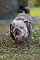 processed/650ce8a0-a9b4-4641-9f79-0cd539f90854/listing/d67e237b-a6d2-4200-afb5-7abc2eea9b18/d7e21479-2cd2-4a62-92c0-a9fedb66c374