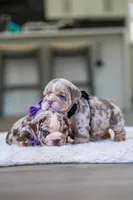 processed/650ce8a0-a9b4-4641-9f79-0cd539f90854/listing/f1d0b3ac-9bb5-409d-8f75-7fe6de5193c5/8709cae1-2cff-4d5b-99f6-bafc344fc0ea