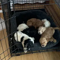 processed/6521ca6b-b048-4813-a17a-04481191af6e/facility/06706d83-56e2-4c52-831a-3b5602b3644d