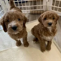 processed/6521ca6b-b048-4813-a17a-04481191af6e/facility/0e5c9b73-03b8-4ca9-8c48-09d636789904