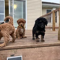 processed/6521ca6b-b048-4813-a17a-04481191af6e/facility/1552e71b-6cc0-4058-8d52-775086bb7b9c