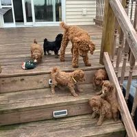 processed/6521ca6b-b048-4813-a17a-04481191af6e/facility/42ee70ab-37a4-4876-a197-cc2eb02f65c7